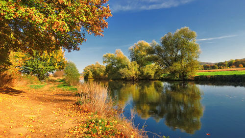 Trees by lake against sky during autumn