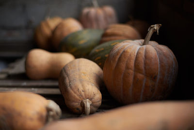 Close-up of pumpkins for sale at market stall