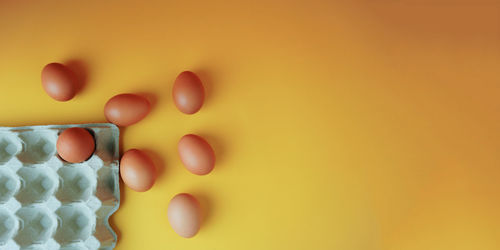High angle view of eggs in container