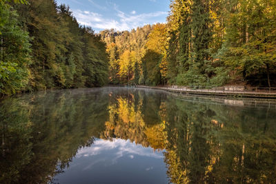 Scenic view of lake by trees against sky