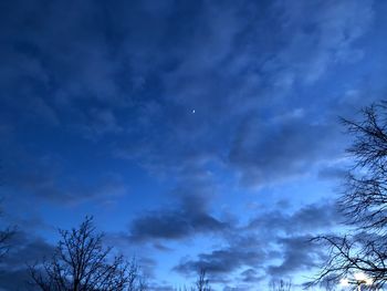 Low angle view of silhouette trees against blue sky