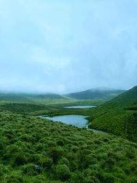 Scenic view of landscape against sky