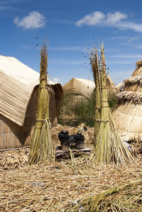 Panoramic view of hut on land against sky