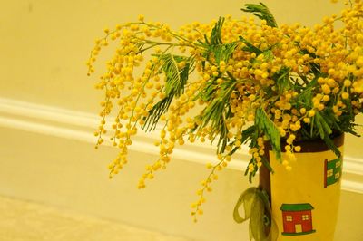 Close-up of yellow flowers