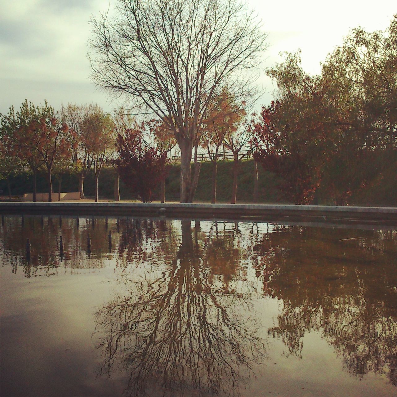 tree, water, reflection, lake, tranquility, tranquil scene, waterfront, sky, beauty in nature, scenics, nature, river, bare tree, branch, growth, idyllic, built structure, outdoors, calm, no people