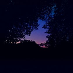 Silhouette of trees against sky at night