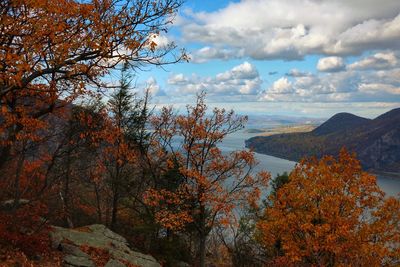 Scenic view of tree by mountain against sky during autumn