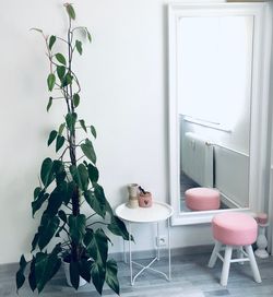 Potted plant by stool on parquet floor at home