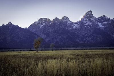 Scenic view of field and mountains against sky