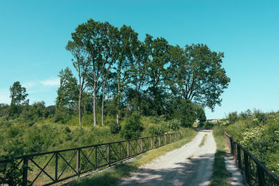 Empty road amidst trees on field against clear sky