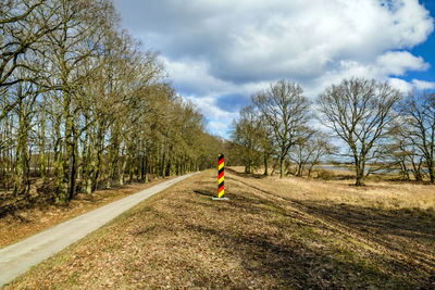 Rear view of man walking on bare trees against sky