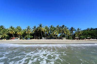 Palm trees on beach against clear blue sky