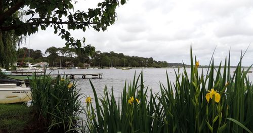 Scenic view of lake against cloudy sky