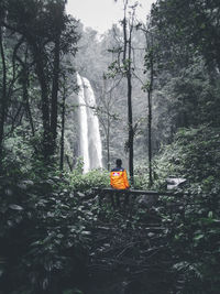 Man amidst trees in forest against sky