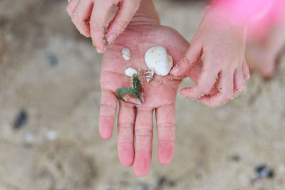 Cropped image of girl over father hand with seashells at beach