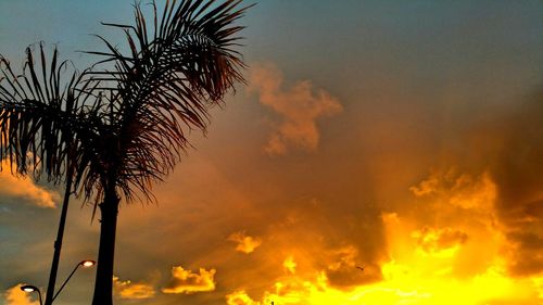 Low angle view of silhouette palm tree against orange sky