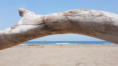 Scenic view of beach against clear sky