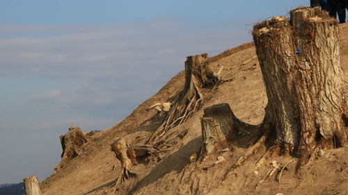 Low angle view of old ruins against sky