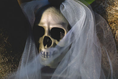 Close-up of human skull and veil on field at night