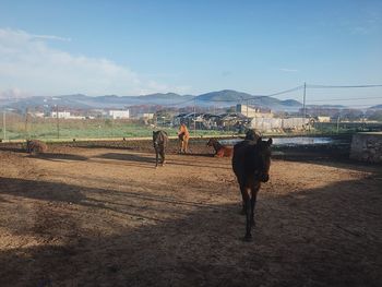 Man riding woman on field against sky