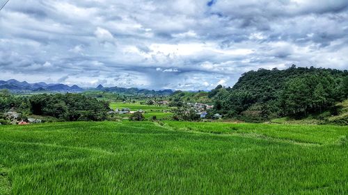 Scenic view of field against sky