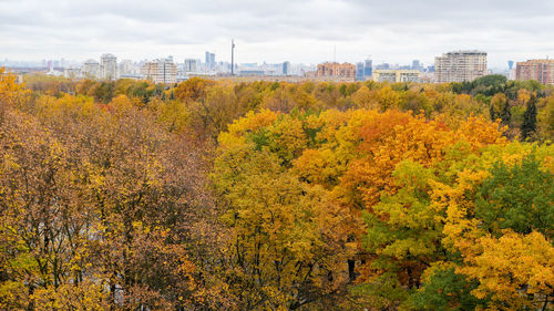 Autumn landscape aerial view of moscow university campus