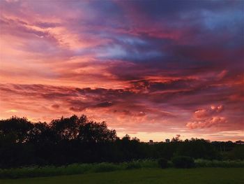 Silhouette trees on field against sky during sunset