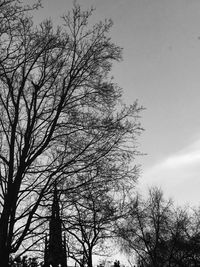 Low angle view of bare tree against sky