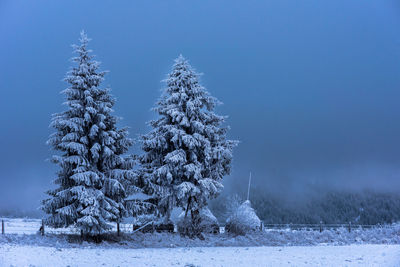 Trees on snow field against clear blue sky