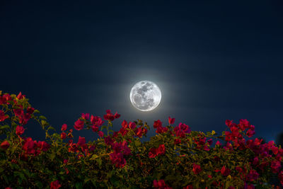 Low angle view of full moon against sky at night