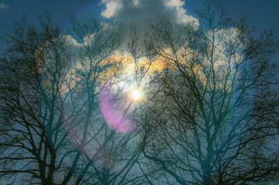 Low angle view of bare trees against sky