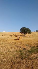 Scenic view of field against blue sky