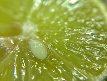 Full frame shot of wet glass