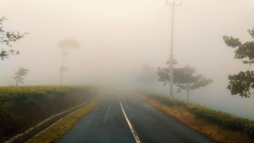 Road amidst trees in foggy weather against sky