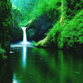 water, tree, waterfall, beauty in nature, flowing water, scenics, nature, flowing, forest, tranquility, motion, tranquil scene, waterfront, green color, long exposure, idyllic, growth, rock - object, river, stream