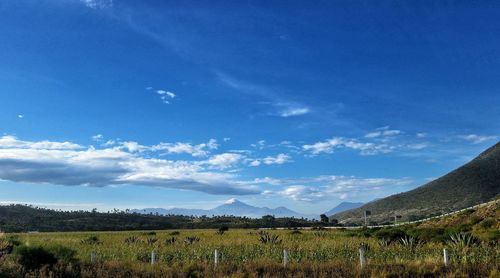 Scenic view of field against cloudy sky