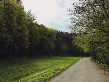 Road amidst trees against sky