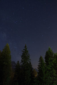 Low angle view of trees against sky at night