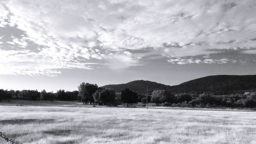 Scenic view of field against sky