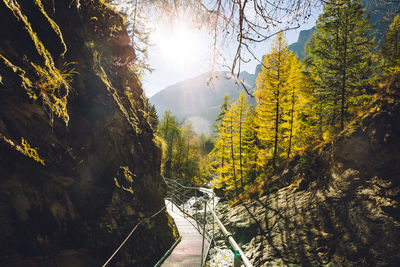 The footbridge of the leukerbad themal springs, dala gorge, during fall.