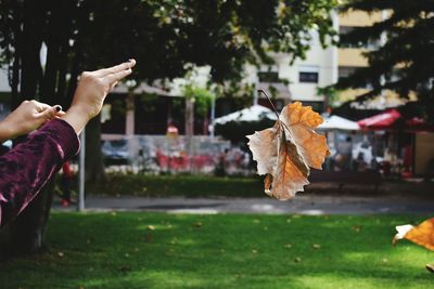 Low section of person with autumn leaves