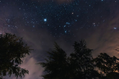 Low angle view of trees against sky at night