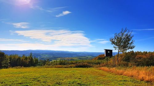 Scenic view of field against sky