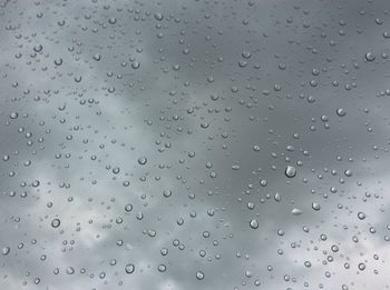 Close-up of water drops on leaf