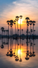 Silhouette trees by lake against sky during sunset