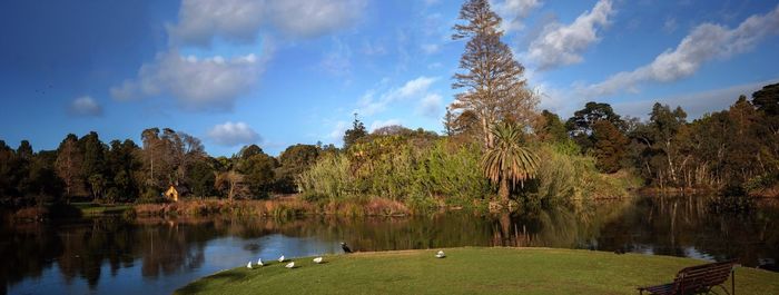 Panoramic view of trees by lake against sky