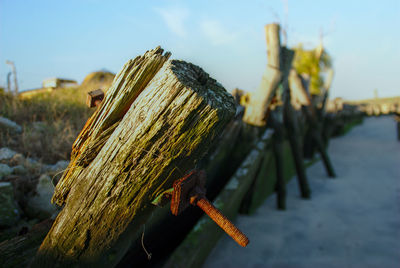 Close-up of rusty metal on wood against sky