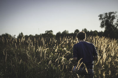 Rear view of man walking amidst plants at farm against clear sky