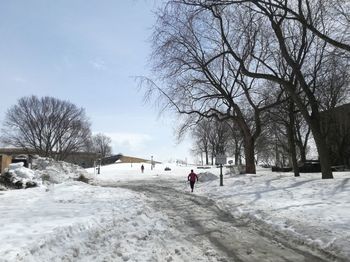 Bare trees on snow covered field against sky