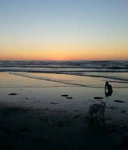 Scenic view of beach at sunset